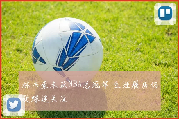 林书豪未获NBA总冠军 生涯履历仍受球迷关注