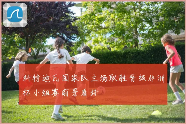 科特迪瓦国家队主场取胜晋级非洲杯小组赛前景看好