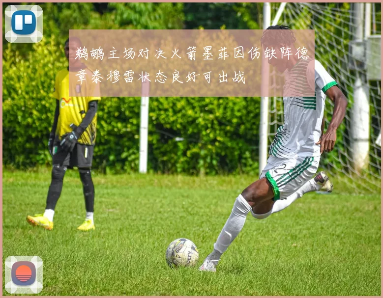 鹈鹕主场对决火箭墨菲因伤缺阵德章泰穆雷状态良好可出战